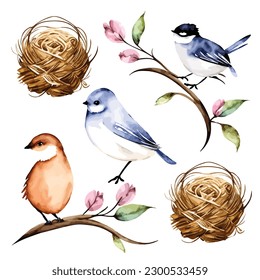 a watercolor birds nest background vector illustration