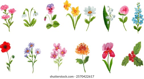 watercolor birth flower, carnation, snowdrop, pansy, daffodil, daisy, rose, lily on the valley, delphinium, poppy, aster, cosmo, chrysanthemum, iris, holy. 