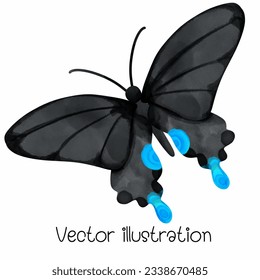 Watercolor black butterfly vector illustration. Sticker decoration. Black and blue tone mysterious and charming spring animals