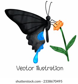 Watercolor black butterfly vector illustration. Sticker decoration. Black and blue tone mysterious and charming spring animals