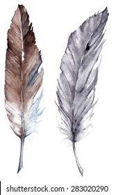 Watercolor black and gray feather set boho vector isolated