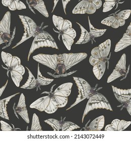 Watercolor black moths, seamless pattern. Hand painted, watercolor print.