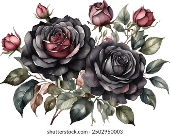 Aquarell Schwarze Rosen Strauß Illustration. Handgezeichnete Rosenblume