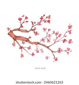 watercolor blooming branches of sakura tree. asian ink painting
