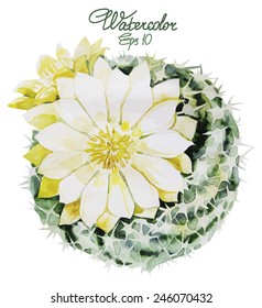 Watercolor blooming cactus