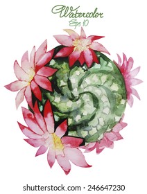 Watercolor blooming cactus