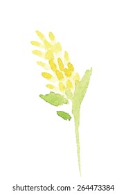 Watercolor blooming flower with leaves, yellow hyacinth, spring. Botany.