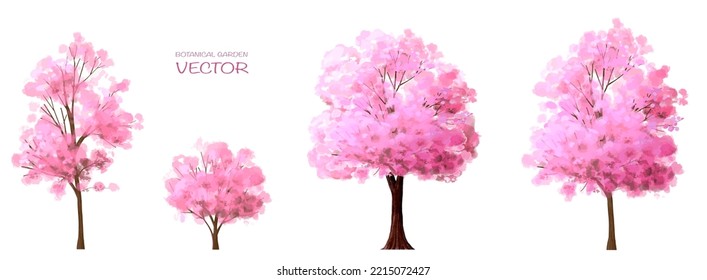 watercolor blooming flower or Sakura ,cherry tree side view isolated on white background for landscape and architecture drawing,elements for environment or and garden,botanical for section in spring