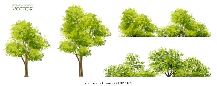 watercolor blooming flower,tree or forest side view isolated on white background for landscape and architecture drawing,elements for environment and garden,botanical for section in autumn