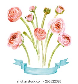 Watercolor blooming Ranunculus set. Hand drawn vector illustration.