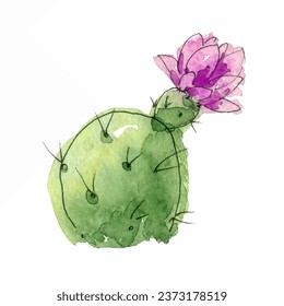 Watercolor blossom cactus. Hand-drawn illustration isolated on the white background