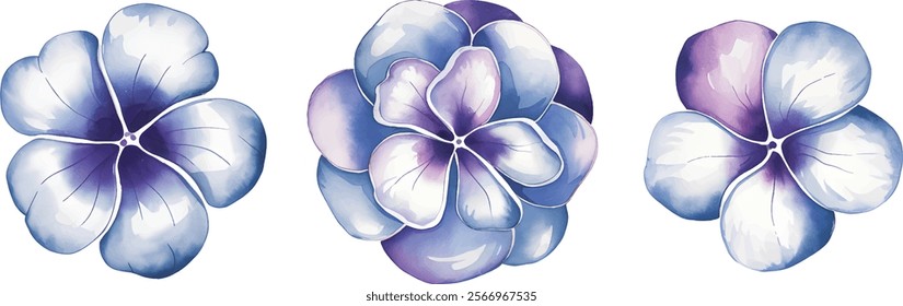 Watercolor Blue Flower Blue Flower. Periwinkle Flower hand drawn floral vector illustration.