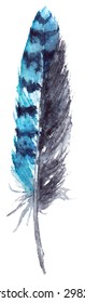 Watercolor blue jay feather black blue vector isolated 