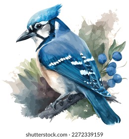 Flying Blue Jay Art Design Portrait Blue Jay. Premium T-Shirt