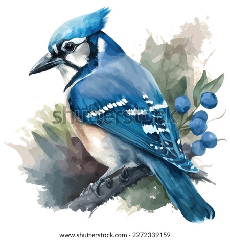 Watercolor blue jay with flower, isolated in white background. ストックフォト © 