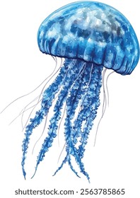 Watercolor Blue Jellyfish Illustration - Hand-Drawn Vector on White Background