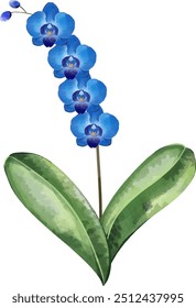 aquarela azul orquídea flor coleção 