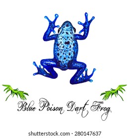 Watercolor Blue Poison Frog & Green Palm Leaves, isolated on white background. Tropical Frog card, postcard & invitation. Elegant concept for Aquarium & Eco Tourism. Element for your design.