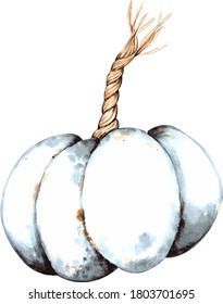 Watercolor blue pumpkin with a tail. Vector graphics. Hand drawing