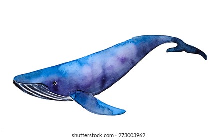 Watercolor blue whale, vector