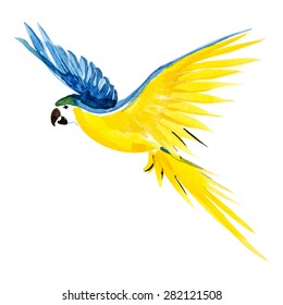 Watercolor blue yellow parrot, vector