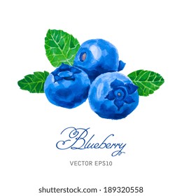 Watercolor blueberries isolated on white. Hand drawn illustration. Vintage style. Vector.