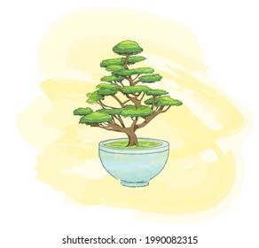 Watercolor bonsai tree on the yellow background. Warm and tender composition can be good for t-shirt print, notebook, presentation, webdesign, video, etc.