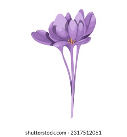 Watercolor botanic blossom floral element. Wild plant, flower. Garden and wild foliage, flowers, branches. Isolated vector illustration EPS10