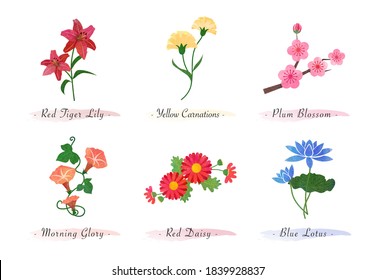 Watercolor botanic garden nature plant flower tiger lily carnation plum blossom morning glory daisy lotus