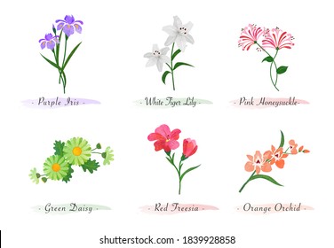 Watercolor botanic garden nature plant flower iris tiger lily honeysuckle daisy red freesia orchid