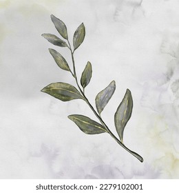 Watercolor botanical Eucalyptus branch  for design. Floral 
wallpaper for fabric, paper, hand drawn, vector
