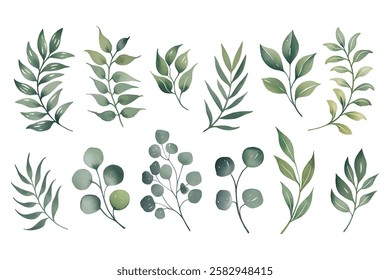 Watercolor Botanical Green  leaves on isolated background. Hand painted branches leaves, Eucalyptus leaves.