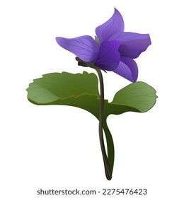 watercolor botanical image of forest violet, wallpaper flora element, cards, holidays, romance