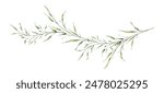 Watercolor botanical leaves and branches. Greenery leaf hand-painted isolated. suitable for the decorative design of covers, fabric, invitations, weddings, or greeting cards.