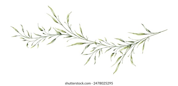 Watercolor botanical leaves and branches. Greenery leaf hand-painted isolated. suitable for the decorative design of covers, fabric, invitations, weddings, or greeting cards.