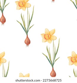 Watercolor botanical realistic floral pattern with narcissus. Bright yellow daffodil on a white background. Natural and vibrant repeated print for textile, wallpaper. Spring flowers