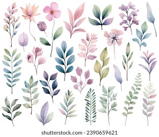 Watercolor botanical set. Delicate watercolor plants for wedding invitations, posters. Vector plants pastel colors.