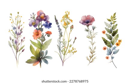Watercolor botanical vector set
