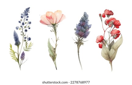 Watercolor botanical vector set. Collection of abstract spring wild flowers, grass, leaf branch, floral leaves in minimal style. Design illustration for wedding invitation, decor