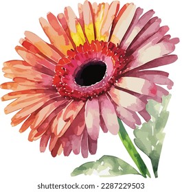 Ramo acuarela de flor gerbera aislado en fondo blanco, Decoración floral de acuarela
