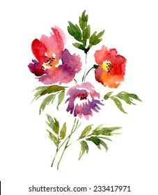 Watercolor bouquet of peonies. Vector illustration