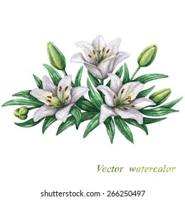 Watercolor bouquet of white lilies with green  leaves.