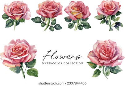 Watercolor bouquets with beautiful flower and leaves on white background