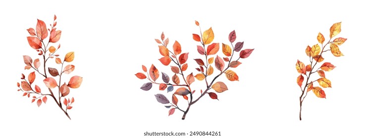 Rama de acuarela con hojas de otoño colección con Elementos naturales y tonos cálidos. Ilustración de moda de color. Pegatinas de otoño.  Ilustración vectorial.