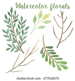 Watercolor branch in vector