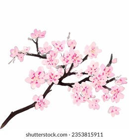 watercolor branches and cherry blossoms