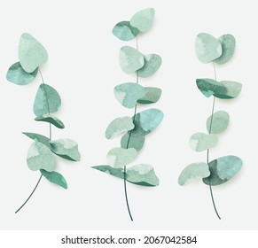 Watercolor branches with eucalyptus leaves. Botanical art elements for decorating wedding invitation cards, print on textiles