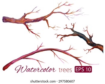 Watercolor branches of isolated colorful trees