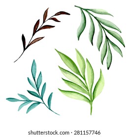 Ramas acuarelas. Ilustración del vector