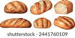 Watercolor bread vector set. Set of baking, bread, bakery product in watercolor style. Buns, baguettes, bread, pastries, and other baked goods. Vintage watercolor concept for a bakery, menu design